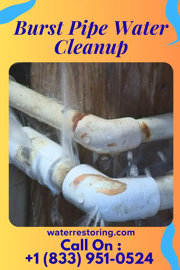Burst Pipe Water Cleanup in Cleveland, TN