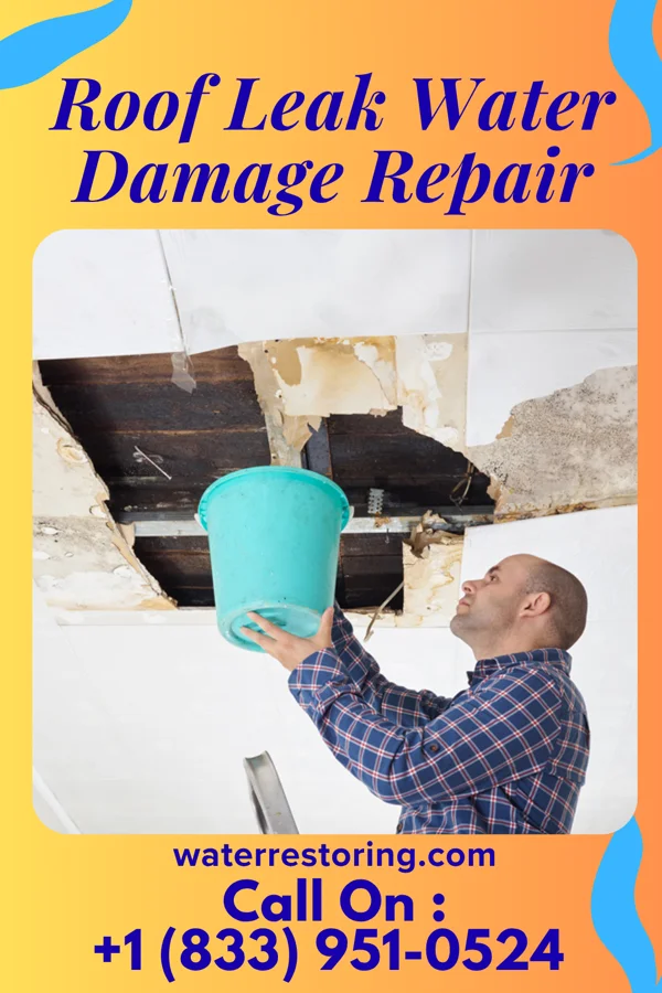 Roof Leak Water Damage Repair in Cleveland, TN
